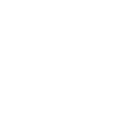 SkanPort logo icon